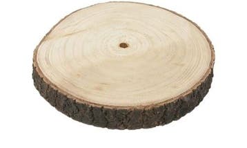 Boomstamschijf Paulonia Apollonia ca. 40 cm, Ophalen of Verzenden, Nieuw