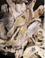 Oesterschelpen biologisch watercleaned 8–13 cm 8 stuks, Ophalen of Verzenden, Nieuw