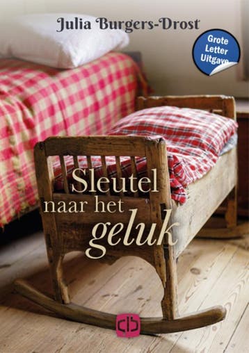 Sleutel naar het geluk / Grote letter bibliotheek / 3846, Boeken, Romans, Verzenden, Gelezen, Julia Burgers-Drost