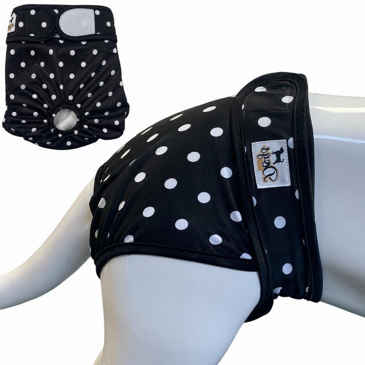 Loopsheidbroekje Polka Dot - Diverse maten (Hondenkleding), Dieren en Toebehoren, Hondenkleding, Hondenbroek, Nieuw, Ophalen of Verzenden