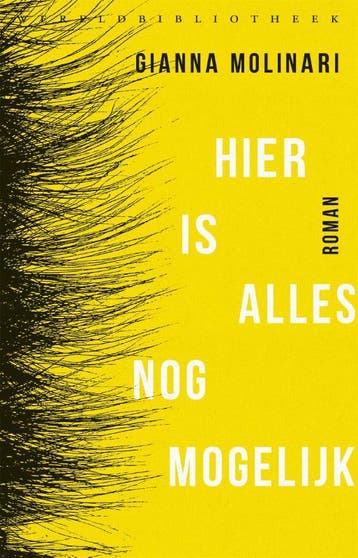 Hier is alles nog mogelijk - Gianna Molinari 9789028427761, Verzenden, Gelezen, Gianna Molinari