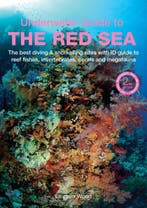 9781913679361 An Underwater Guide to the Red Sea, Verzenden, Nieuw, Lawson Wood