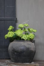 Namaak tak hortensia Snowball green 55 cm, Ophalen of Verzenden, Nieuw