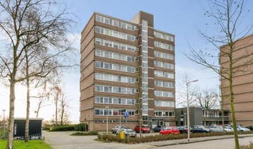 Te Huur 2 Kamer Appartement Saffierstraat In Alphen aan den, Direct bij eigenaar,  Alphen aan den Rijn, Appartement, Zuid-Holland