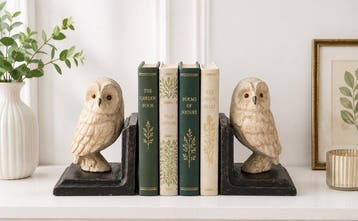 Boekensteunen - Gietijzer - Schattige witte uilen