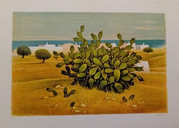 Gianfranco Mai (1940) - Cactus