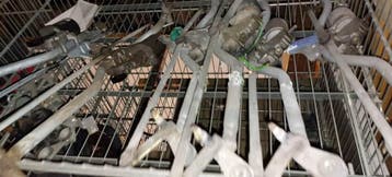 7E1 955 113 ruitenwissermotor Volkswagen Transporter T5, Auto-onderdelen, Ophalen of Verzenden, Gebruikt, Volkswagen