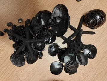 Zwarte Schelpen en Zeesterren Mix in Mand 25 cm, Ophalen of Verzenden, Nieuw