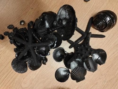 Zwarte Schelpen en Zeesterren Mix in Mand 25 cm, Hobby en Vrije tijd, Knutselen, Nieuw, Ophalen of Verzenden