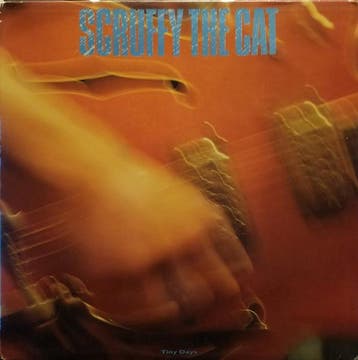 LP gebruikt - Scruffy the Cat - Tiny Days, Verzenden, Zo goed als nieuw, Overige formaten