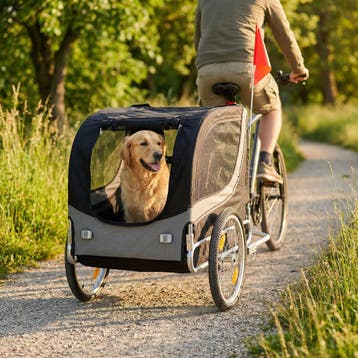Aanhanger Fiets | Staal | Laatste Stuks!, Opvouwbaar, Nieuw, 20 tot 40 kg, Ophalen of Verzenden