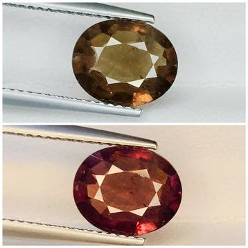 Zonder minimumprijs Granaat - 2.63 ct - International, Nieuw