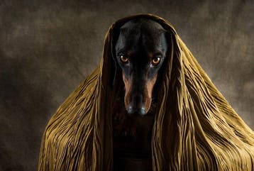 Heike Willers - “Golden Eyes”.