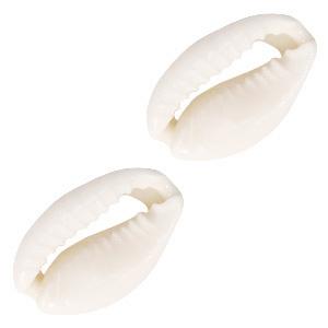 4 x  Schelp kralen kauri Naturel white, Hobby en Vrije tijd, Ophalen of Verzenden, Nieuw, Kraal