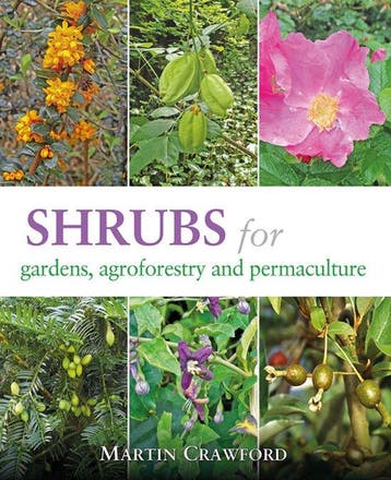 9781856233330 Shrubs for Gardens, Agroforestry, and Perma..., Boeken, Verzenden, Nieuw, Martin Crawford