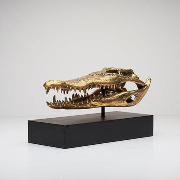 sculptuur, Saltwater Crocodile Skull fashioned in bronze, on