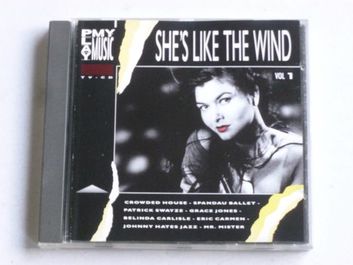 Shes like the Wind - Volume 1 (play my music), Cd's en Dvd's, Cd's | Verzamelalbums, Zo goed als nieuw, Verzenden