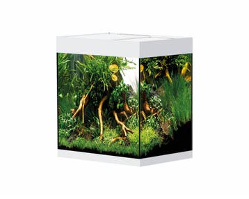Oase StyleLine 85 Wit - Aquarium, Dieren en Toebehoren, Ophalen of Verzenden, Nieuw