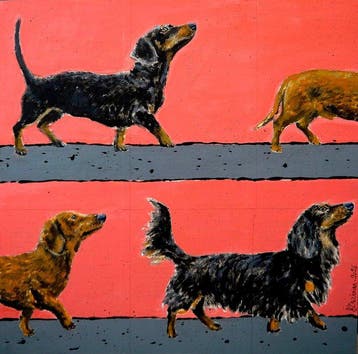Bazévian DelaCapucinière - Proud Walk 2 Dachshund Dogs