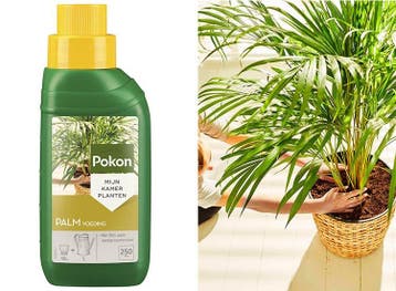 Pokon Palm Voeding 250ml, Huis en Inrichting, Kamerplanten, Verzenden