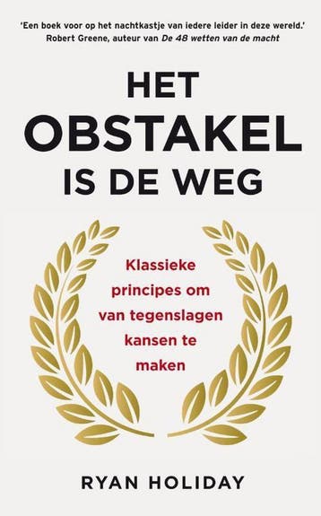 Het obstakel is de weg - Ryan Holiday 9789400510159, Verzenden, Zo goed als nieuw, Ryan Holiday