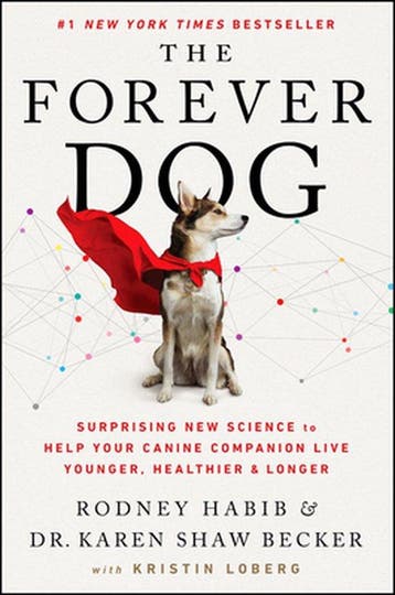 Boek The Forever Dog 9780063002609, Verzenden, Zo goed als nieuw