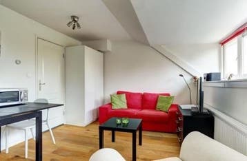 Te Huur Studio Barentszstraat In Den Haag, 20 tot 35 m², Den Haag