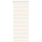vidaXL Zebra rolgordijn 55x100 cm stofbreedte 50,9 cm, Verzenden, Nieuw, Beige