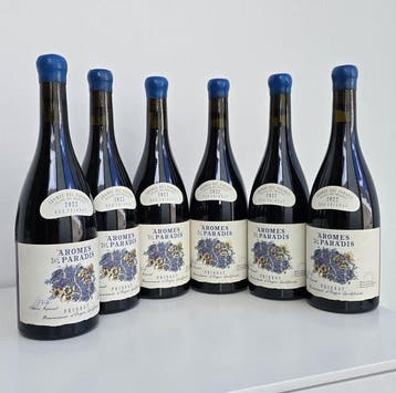 2022 Aromes del Paradis - Priorat D.O.Q. - 6 Flessen (0.75, Nieuw