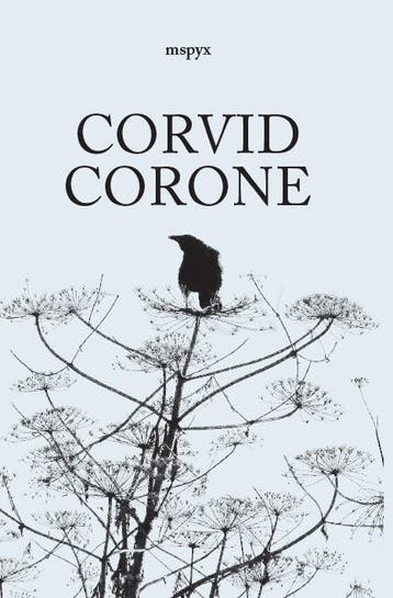 Corvid Corone | MSPYX | Nieuw, Ophalen of Verzenden, Nieuw, MSPYX