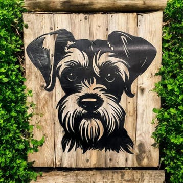 Wanddecoratie dwergschnauzer | 35.8 cm x 31,7 cm, Verzenden, Nieuw