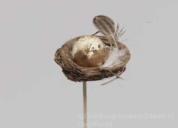 Vogelnestjes met 1 kwartelei en veertjes op stok 5 cm doos, Ophalen of Verzenden, Nieuw