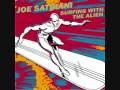 cd - Joe Satriani - Surfing With The Alien, Cd's en Dvd's, Verzenden, Zo goed als nieuw