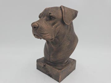 Bust of a dogo argentino dog statue - handpainted home decor, Verzenden, Nieuw