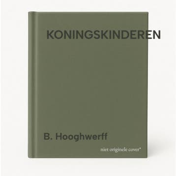 KONINGSKINDEREN - B. Hooghwerff 9789033125089, Verzenden, Gelezen, B. Hooghwerff