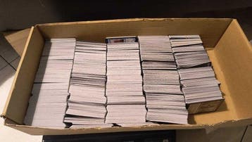 Wizards of The Coast - 3000 Bulk kaarten - Magic: The, Nieuw
