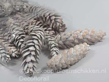 Dennenappel strobus grote white wash 20-25cm zak25, Ophalen of Verzenden, Nieuw