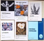 various authors - Cacti and Succulent collection - scarce, Antiek en Kunst