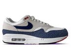 Nike Air Max 1 Team USA Paris Olympics • 43 46, Ophalen of Verzenden, Nieuw, Nike, Sneakers of Gympen