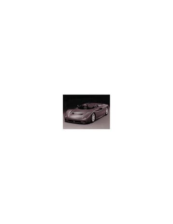 1991 MASERATI BARCHETTA PERSFOTO, Nieuw, Author