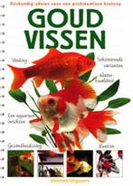 Goudvissen 9789059203679 Bernice Brewster, Boeken, Verzenden, Gelezen, Bernice Brewster