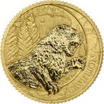 1/10 oz Cave Lion Gouden Munt, 2026, Verzenden, Goud