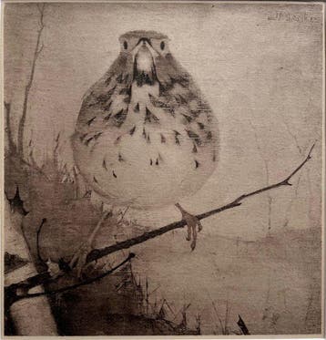 Jan Mankes (1889-1920) - Heliogravure - Lijster op Tak 1923