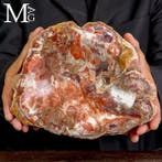 Met de hand gemaakt petrified wood opbergdoosje - Een
