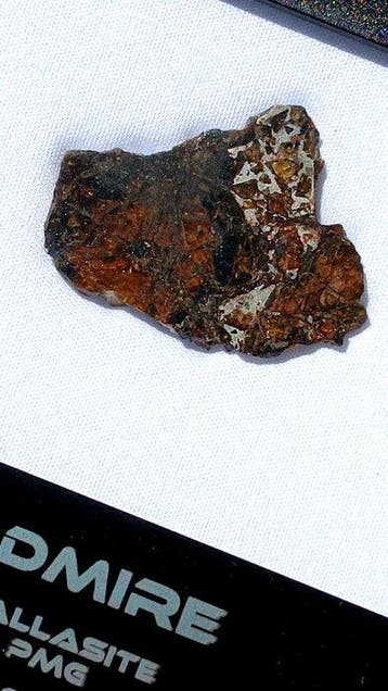 Admire meteoriet Pallasiet - 7.83 g