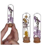 Mini Dome stolpjes gevuld met droogbloemen Ø2 h.7 cm set 6, Ophalen of Verzenden, Nieuw