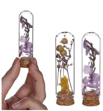 Mini Dome stolpjes gevuld met droogbloemen Ø2 h.7 cm set 6, Ophalen of Verzenden, Nieuw