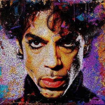 David Law - Purple King- Prince III - Format XL 60x60