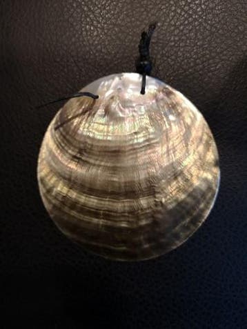 Gepolijst nautilus schelp met gaatje voor hanger of, Ophalen of Verzenden, Nieuw