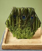 Metalen Frame Hexagon 20 cm hangend, Ophalen of Verzenden, Nieuw